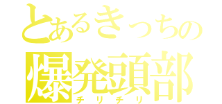 とあるきっちの爆発頭部（チリチリ）