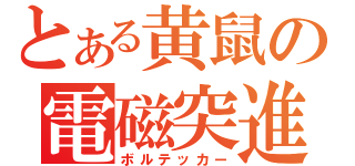 とある黄鼠の電磁突進（ボルテッカー）