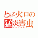 とある火口の猛炎害虫（ゴキブロス）