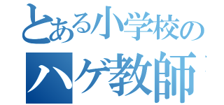 とある小学校のハゲ教師（）