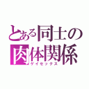 とある同士の肉体関係（ゲイセックス）