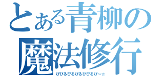 とある青柳の魔法修行（ぴぴるぴるぴるぴぴるぴ～☆）