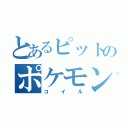 とあるピットのポケモン（コイル）