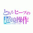 とあるヒープの越境操作（バイオレーション）