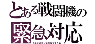 とある戦闘機の緊急対応（ちょっとコンビニ行ってくる）