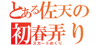 とある佐天の初春弄り（スカートめくり）