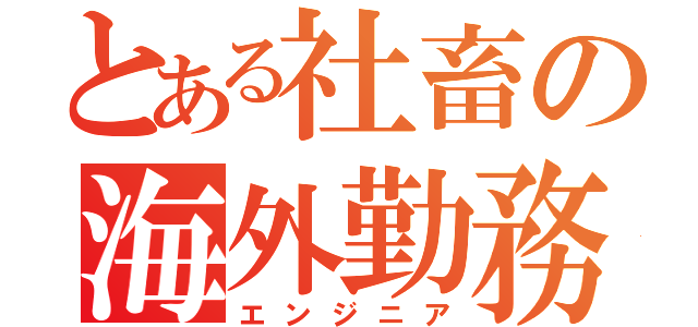 とある社畜の海外勤務（エンジニア）