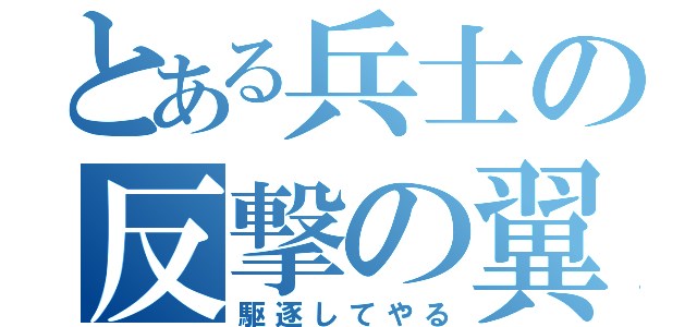 とある兵士の反撃の翼（駆逐してやる）