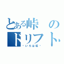 とある峠のドリフト族（〜いろは坂〜）