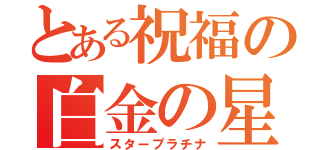 とある祝福の白金の星（スタープラチナ）