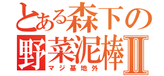 とある森下の野菜泥棒Ⅱ（マジ基地外）