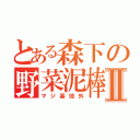 とある森下の野菜泥棒Ⅱ（マジ基地外）