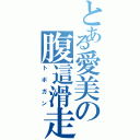 とある愛美の腹這滑走（トボガン）