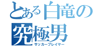 とある白竜の究極男（サッカープレイヤー）