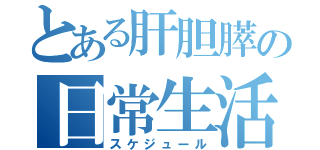 とある肝胆膵の日常生活（スケジュール）