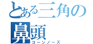 とある三角の鼻頭（コーンノーズ）