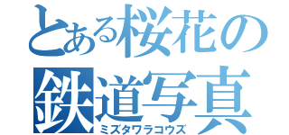 とある桜花の鉄道写真（ミズタワラコウズ）