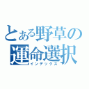 とある野草の運命選択（インデックス）