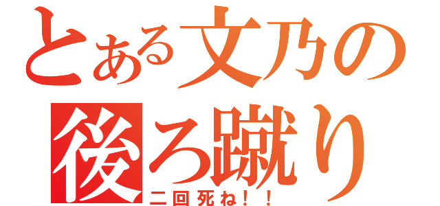 とある文乃の後ろ蹴り（二回死ね！！）