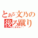 とある文乃の後ろ蹴り（二回死ね！！）