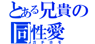 とある兄貴の同性愛（ガチホモ）