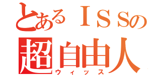 とあるＩＳＳの超自由人（ウィッス）