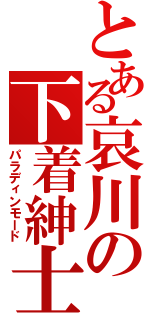 とある哀川の下着紳士（パラディンモード）