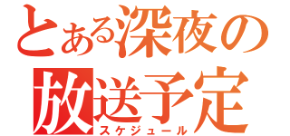 とある深夜の放送予定（スケジュール）