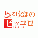 とある吹部のピッコロ奏者（フルートパート）