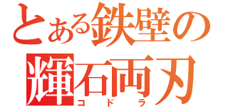 とある鉄壁の輝石両刃（コドラ）