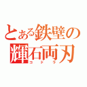 とある鉄壁の輝石両刃（コドラ）