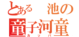 とある 池の童子河童（カッパ）