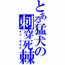 とある猛犬の刺穿死棘（ゲイ・ボルク）