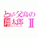 とある父島の翔太郎Ⅱ（セクシャルビースト）