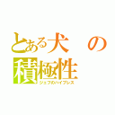 とある犬の積極性（ジェフのハイプレス）