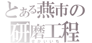 とある燕市の研磨工程（せかいいち）