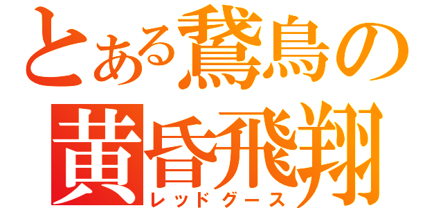 とある鵞鳥の黄昏飛翔（レッドグース）