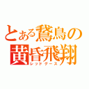 とある鵞鳥の黄昏飛翔（レッドグース）