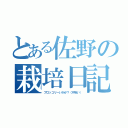 とある佐野の栽培日記（ブロッコリーいかが？（不味い））