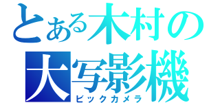 とある木村の大写影機（ビックカメラ）