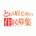 とある眉毛界の住民募集（やんじゅ。）