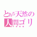 とある天然の人間ゴリラ（平野紫耀）