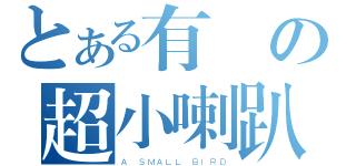 とある有倫の超小喇趴（Ａ ＳＭＡＬＬ ＢＩＲＤ）