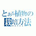 とある植物の栽培方法（そだてかた）