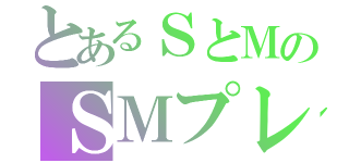 とあるＳとＭのＳＭプレイ（）