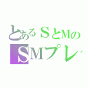 とあるＳとＭのＳＭプレイ（）