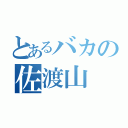 とあるバカの佐渡山（）