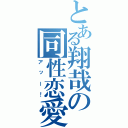 とある翔哉の同性恋愛（アッー！）