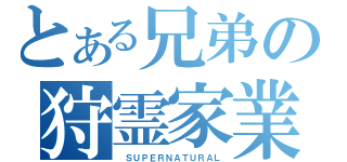 とある兄弟の狩霊家業（ ＳＵＰＥＲＮＡＴＵＲＡＬ）