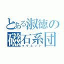 とある淑徳の磁石系団（マグネット）